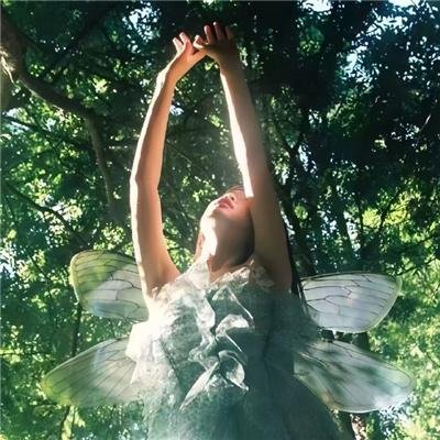 迪奥梅德斯·迪亚兹：崩塌的偶像